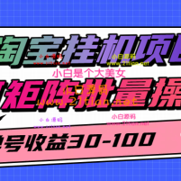 淘宝挂机项目，单号30-100，可矩阵批量操作