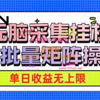 无脑采集挂机，可批量矩阵操作，单日收益无上限